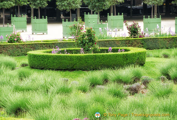 jardin_des_tuileries_AJP3602.jpg